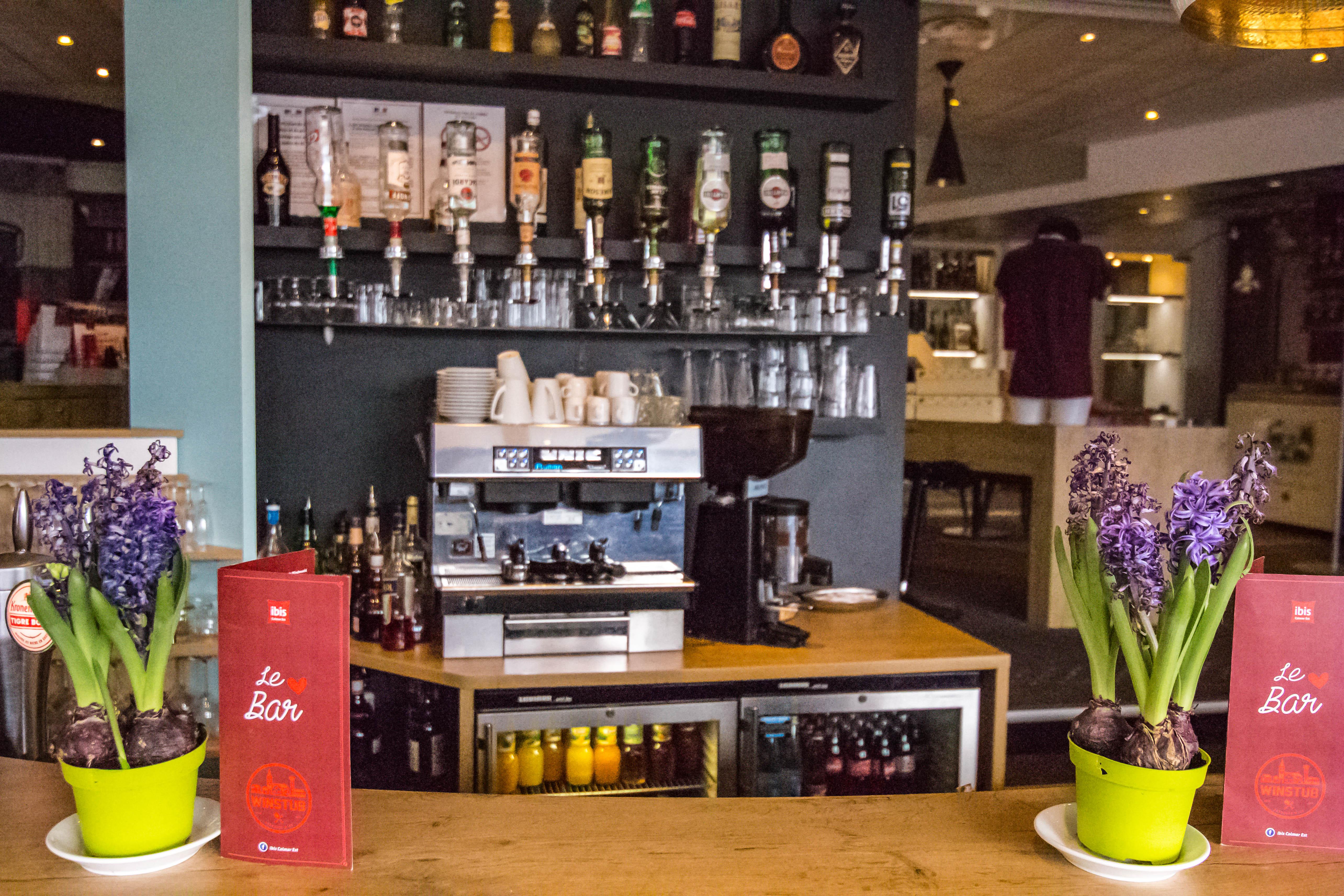 Ibis Colmar Est - Hotel Restaurant En Alsace Horbourg-Wihr Екстериор снимка
